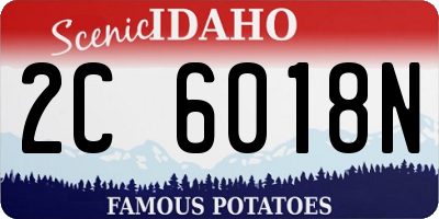 ID license plate 2C6018N