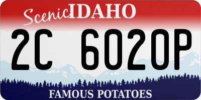 ID license plate 2C6020P