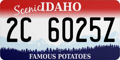 ID license plate 2C6025Z