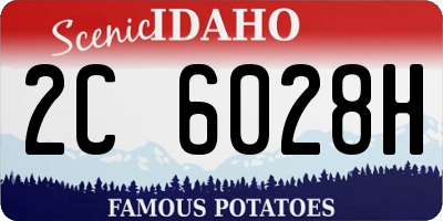 ID license plate 2C6028H