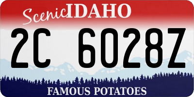 ID license plate 2C6028Z