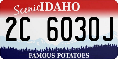ID license plate 2C6030J