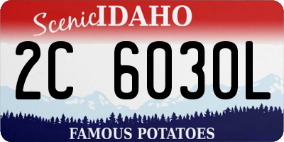 ID license plate 2C6030L