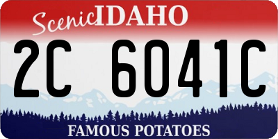 ID license plate 2C6041C
