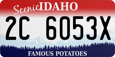 ID license plate 2C6053X