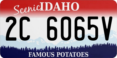 ID license plate 2C6065V