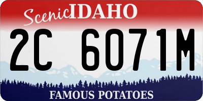 ID license plate 2C6071M