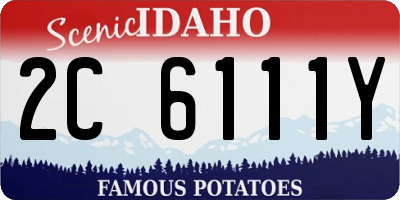 ID license plate 2C6111Y