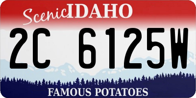 ID license plate 2C6125W