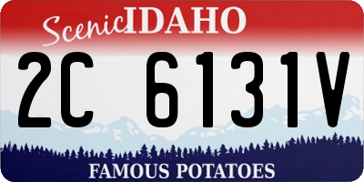 ID license plate 2C6131V