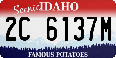 ID license plate 2C6137M