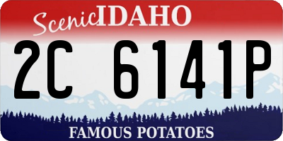 ID license plate 2C6141P