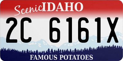 ID license plate 2C6161X