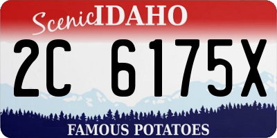 ID license plate 2C6175X