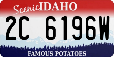 ID license plate 2C6196W