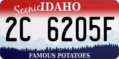 ID license plate 2C6205F