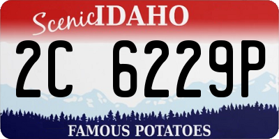 ID license plate 2C6229P