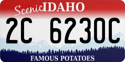 ID license plate 2C6230C