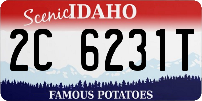 ID license plate 2C6231T