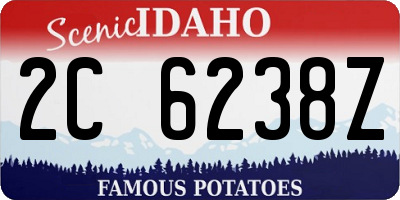 ID license plate 2C6238Z