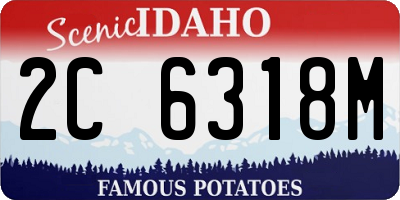 ID license plate 2C6318M