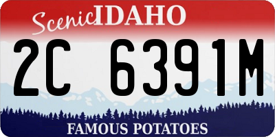 ID license plate 2C6391M