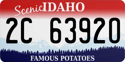 ID license plate 2C6392O