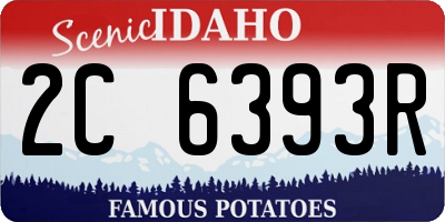 ID license plate 2C6393R