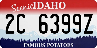 ID license plate 2C6399Z