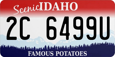 ID license plate 2C6499U
