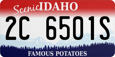 ID license plate 2C6501S
