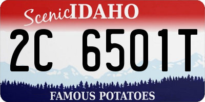 ID license plate 2C6501T