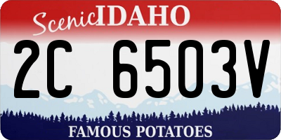 ID license plate 2C6503V