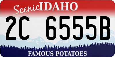 ID license plate 2C6555B