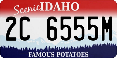 ID license plate 2C6555M