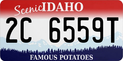 ID license plate 2C6559T