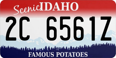ID license plate 2C6561Z