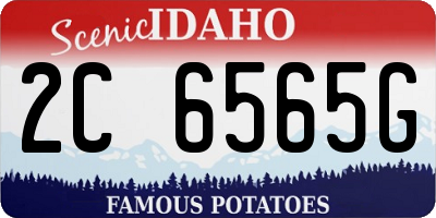 ID license plate 2C6565G