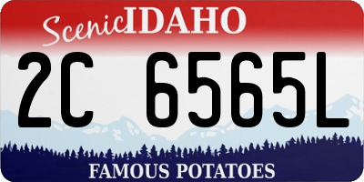 ID license plate 2C6565L