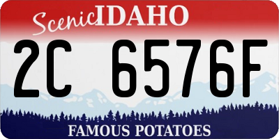 ID license plate 2C6576F