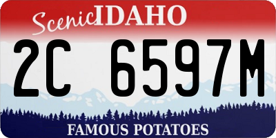 ID license plate 2C6597M