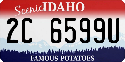 ID license plate 2C6599U