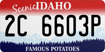 ID license plate 2C6603P