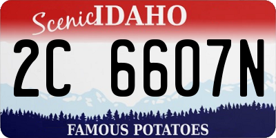 ID license plate 2C6607N