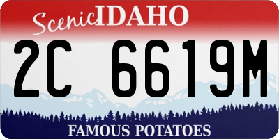 ID license plate 2C6619M