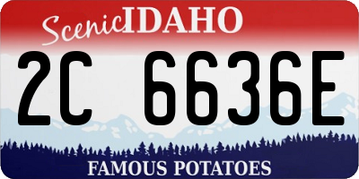 ID license plate 2C6636E