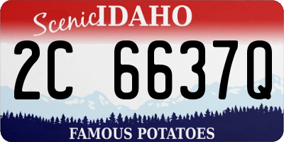 ID license plate 2C6637Q