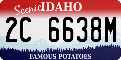 ID license plate 2C6638M