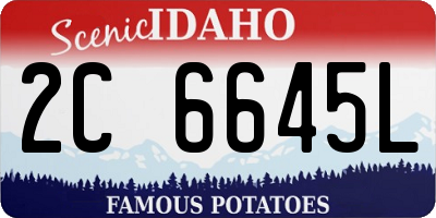 ID license plate 2C6645L