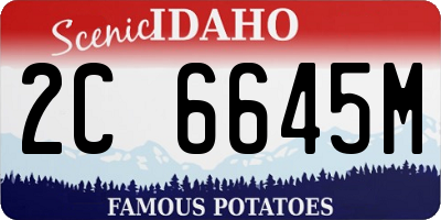 ID license plate 2C6645M